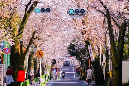 sakura-shinmachi-station