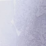 h-grrade05_material03 h-grrade05_material03