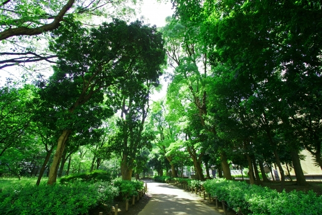 戸山公園