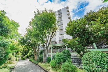 デュオ・スカーラ大島