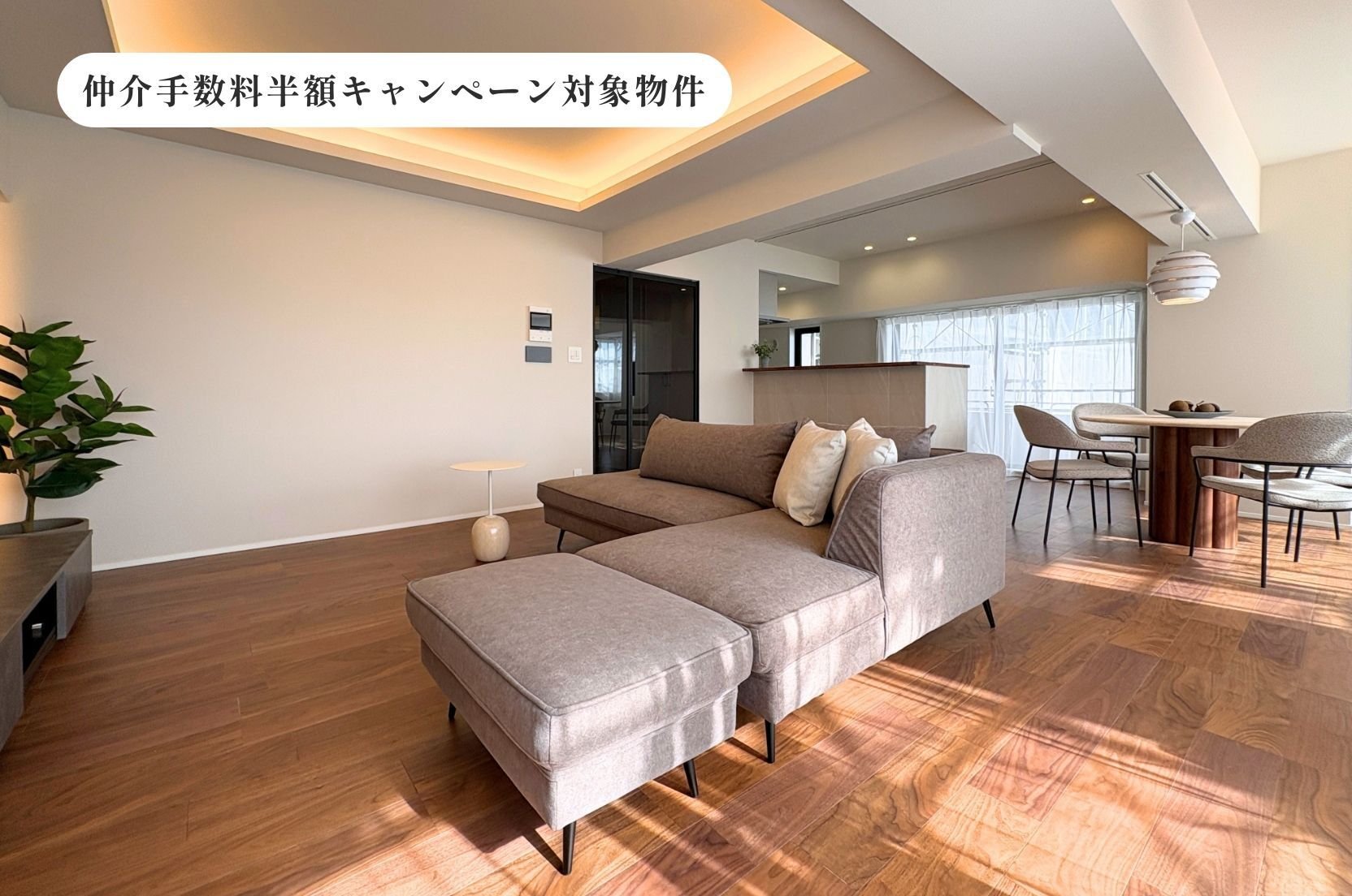 ルネ千駄木プラザ_仲介手数料半額